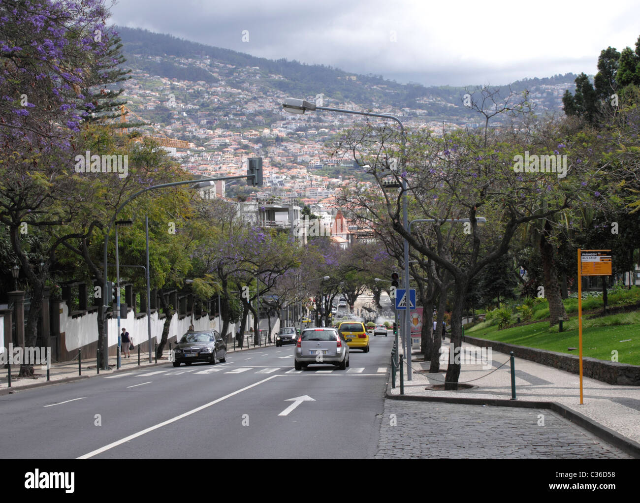 Avenida do Infante Funchal Madeira Stock Photo