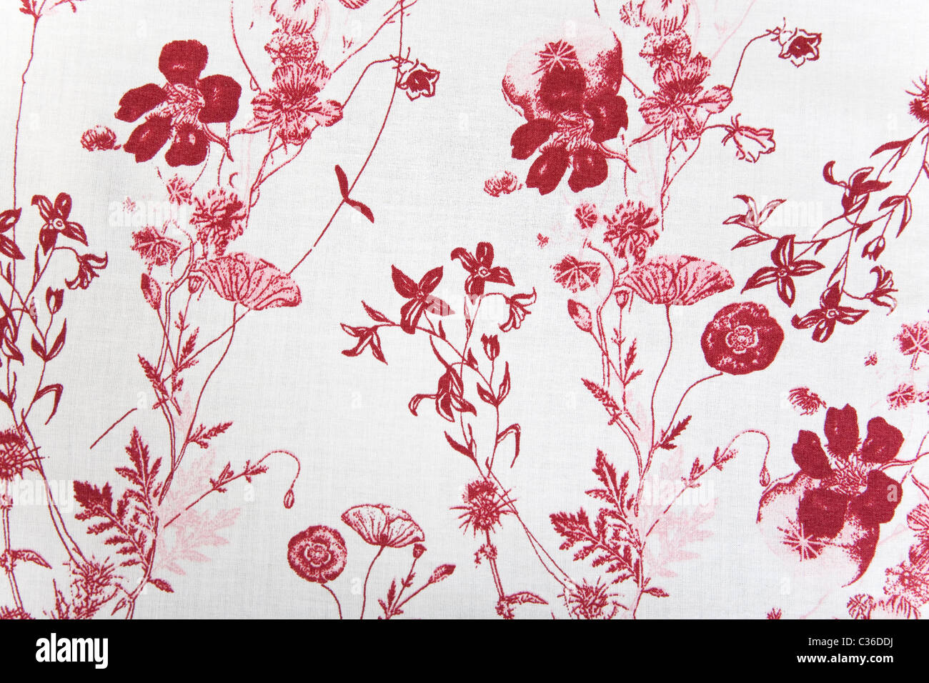 flower fabric texture, red plants on white background Stock Photo