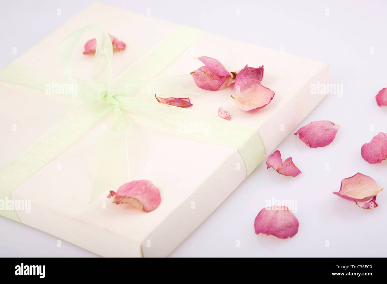 present box with rose petals on white background Stock Photo
