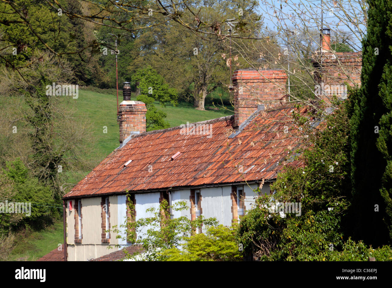 A row of terraced cottages in Benter, Somerset on a spring afternoon ...