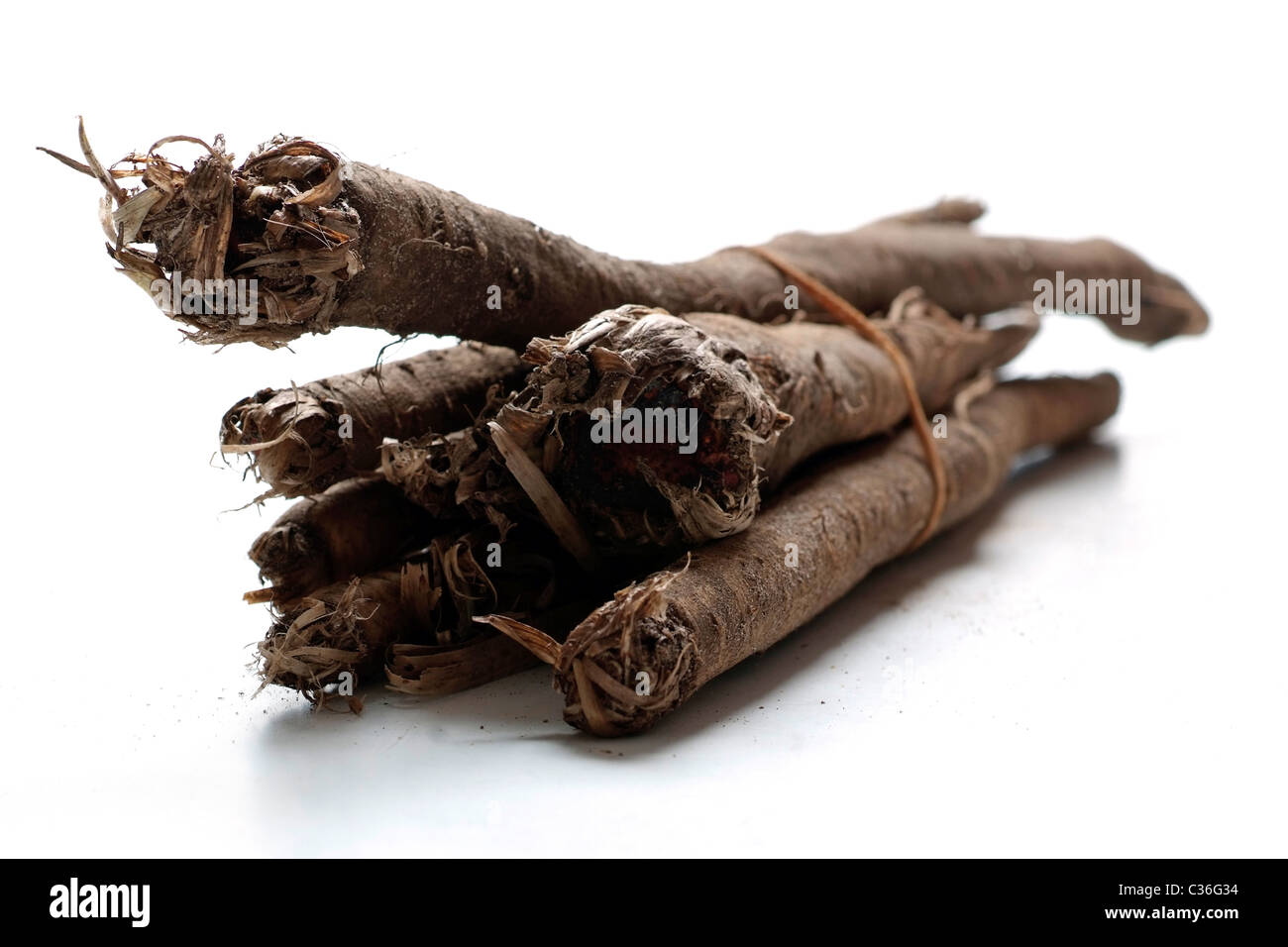 Salsifies hi-res stock photography and images - Alamy