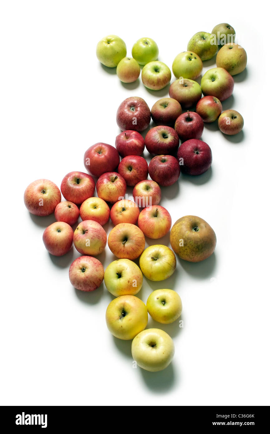 Apple varieties Stock Photo
