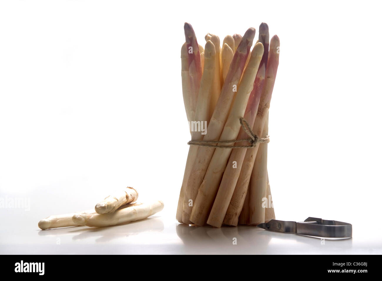 Bunch of white asparagus, standing Stock Photo