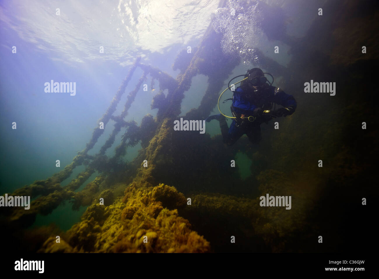 A diver on the wreck of the Ilsenstein, one of the blockships at Churchill Barrier No.2, Holm Sound, Scapa Flow, Orkney Stock Photo