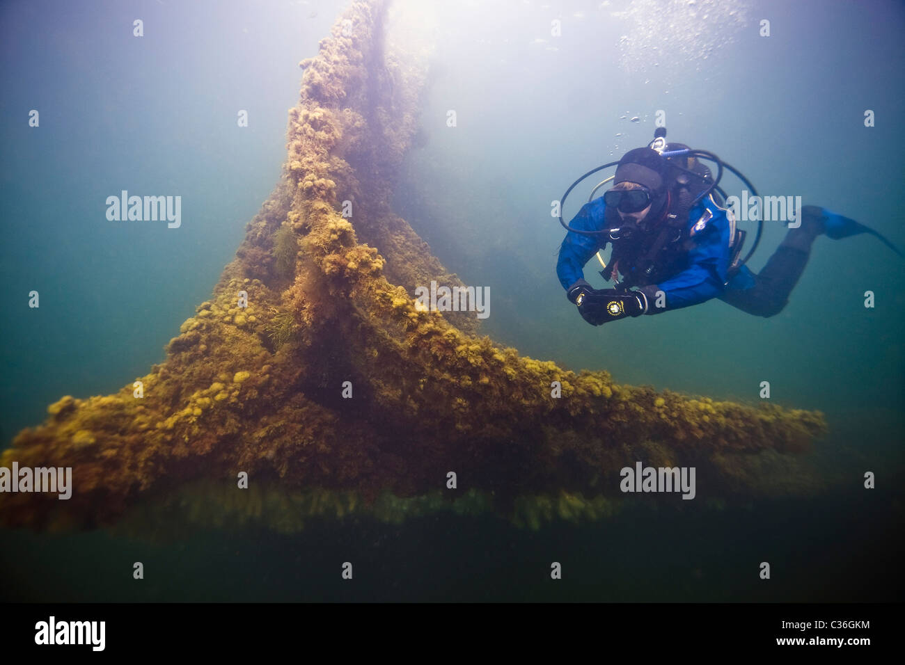 A diver on the  bow of the wreck of the Ilsenstein, one of the blockships at Churchill Barrier 2, Holm Sound, Scapa Flow, Orkney Stock Photo