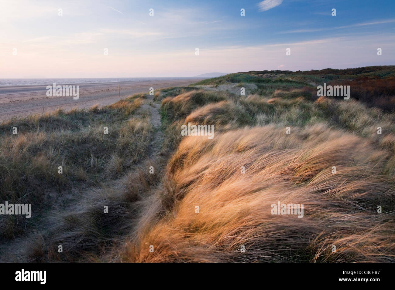 Berrow Dunes with Brean Down in the Distance. Somerset. England. UK. Stock Photo