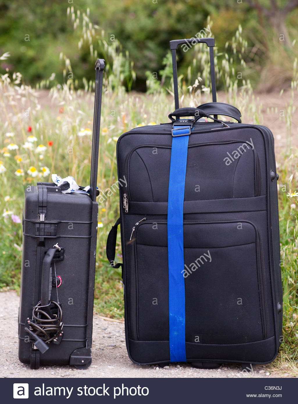 luggage pelican