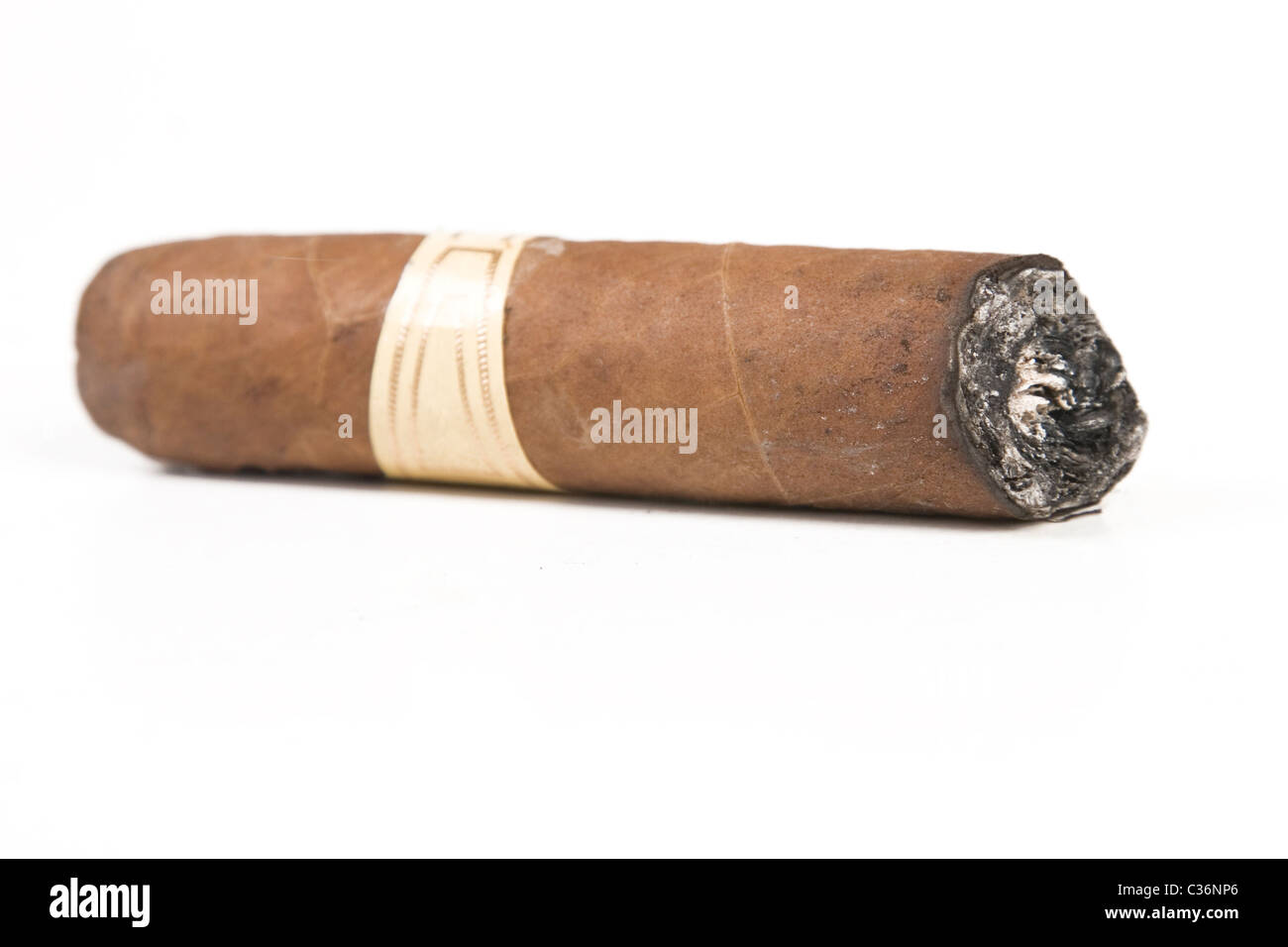 havana brown cigar burned on white background Stock Photo