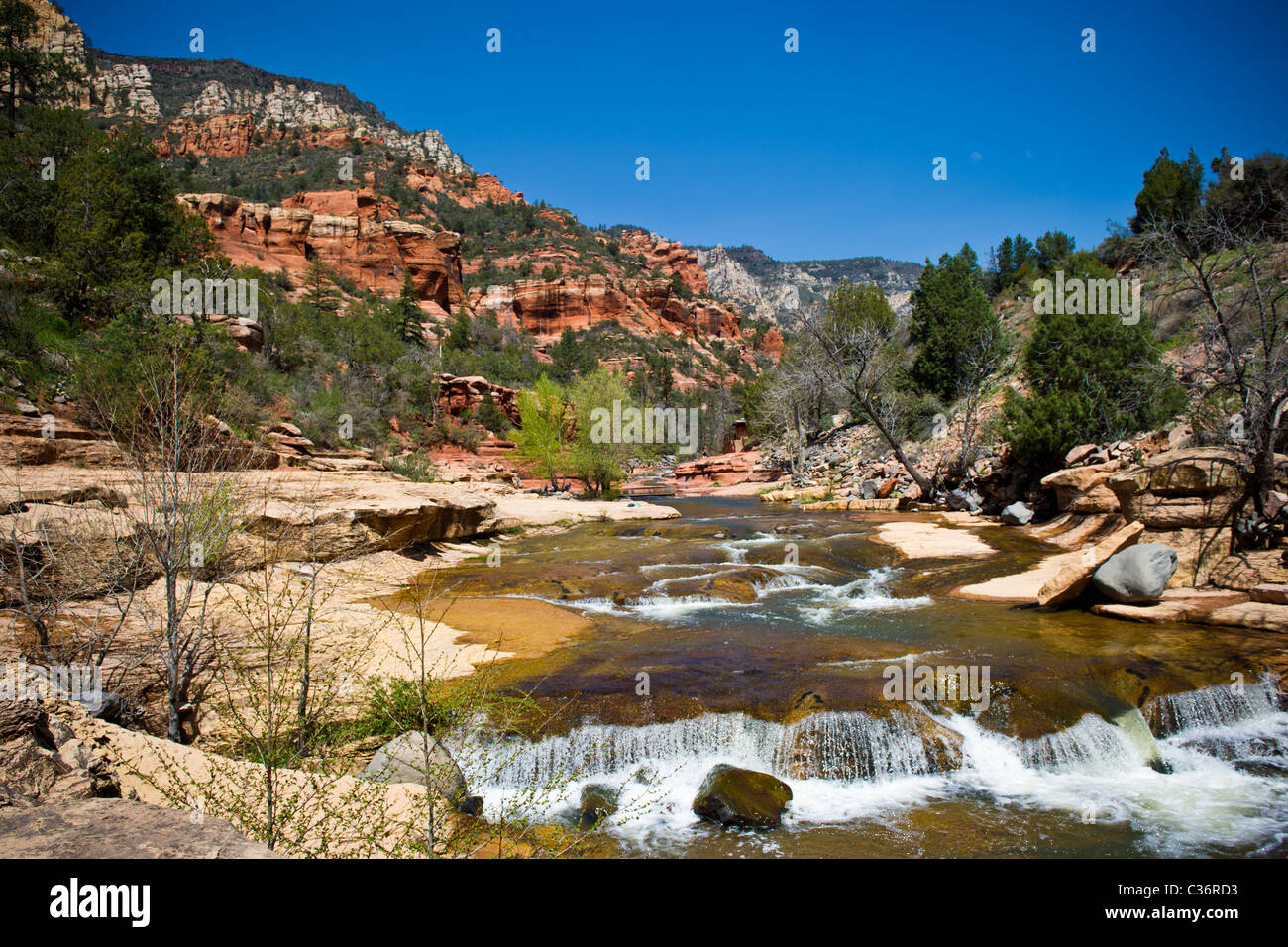 Are Dogs Allowed At Slide Rock