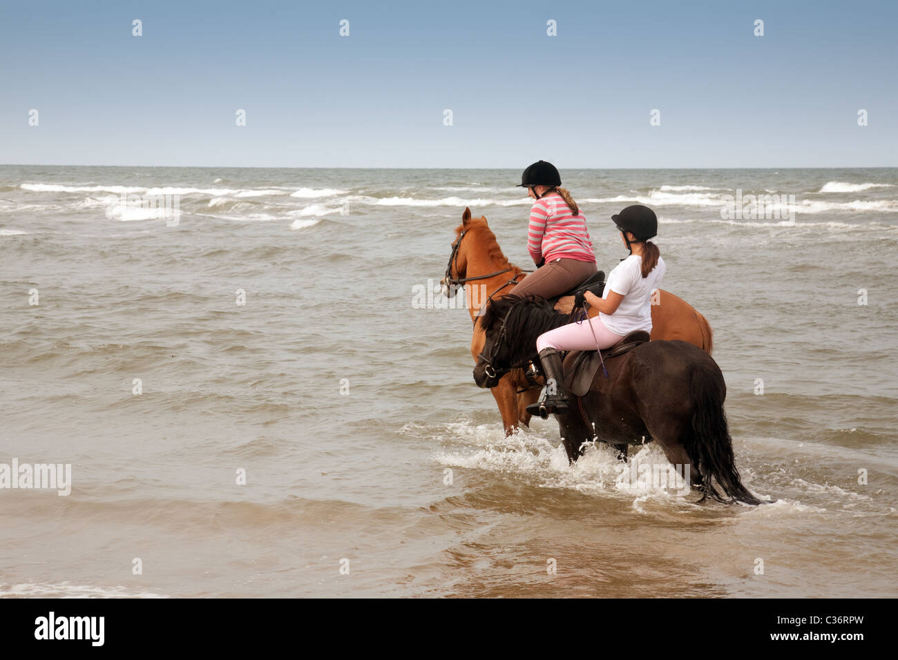 2 Horses High Resolution Stock Photography and Images - Alamy