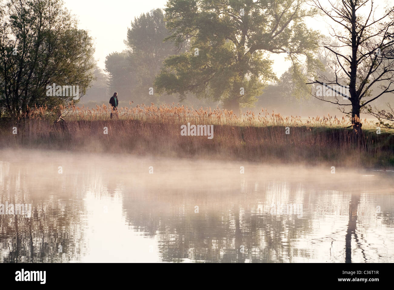 A man walking early morning beside the river Thames at Wallingford, Oxfordshire Stock Photo