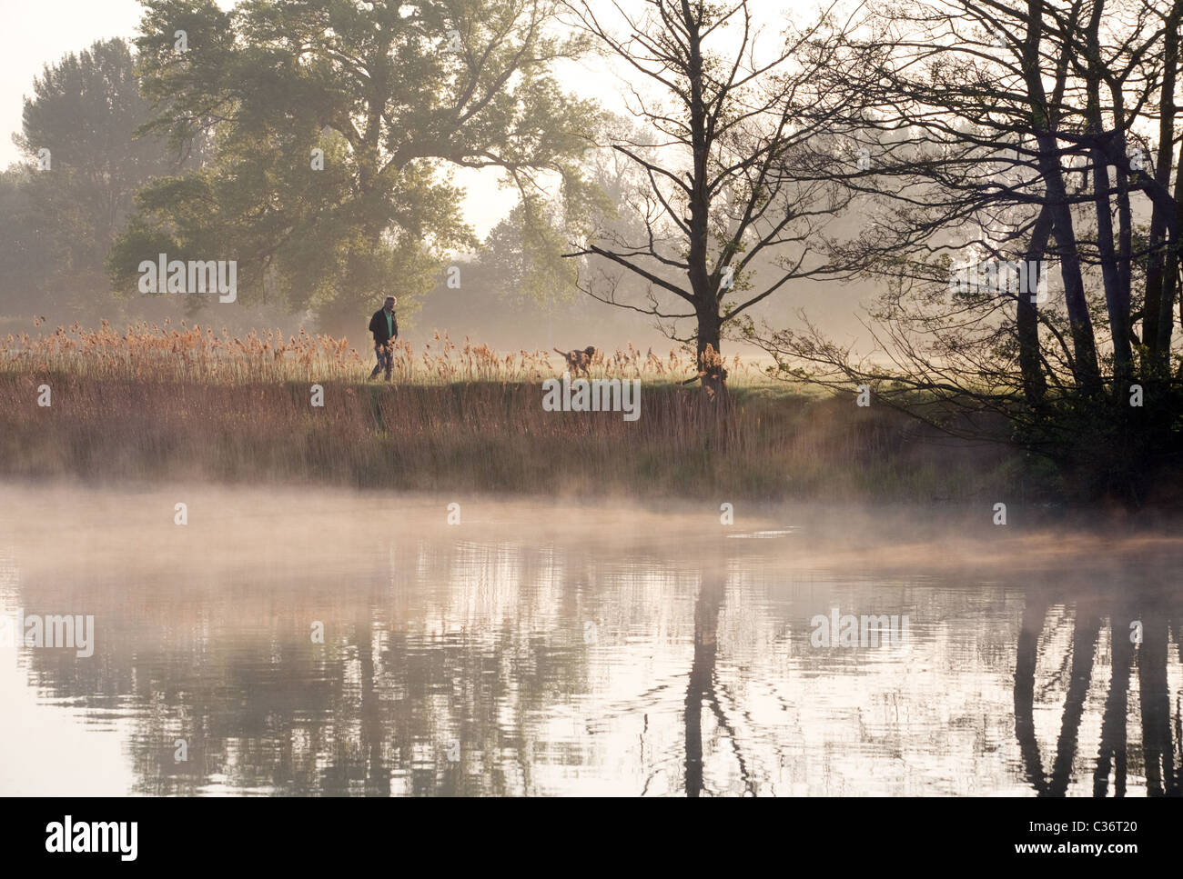 Man walking the dog in countryside at dawn on a spring morning, the river Thames at  Wallingford, Oxfordshire, UK Stock Photo