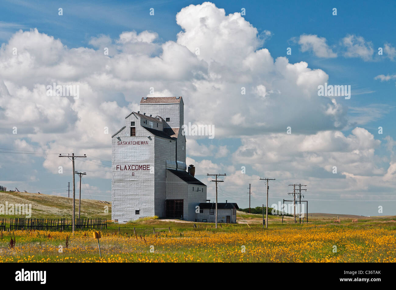 A grain elevator sits in a field of colourful wild flowers near the Saskatchewan town of Flaxcombe. Stock Photo