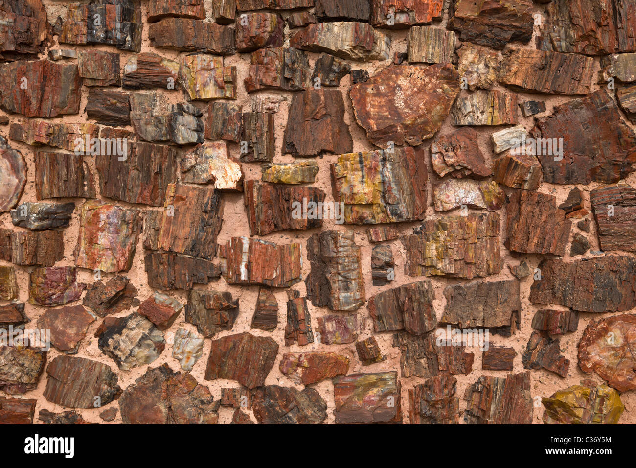 Pattern of Petrified wood, Araucarioxylon arizonicum, Agate House Pueblo in Petrified Forest National Park, USA. Stock Photo