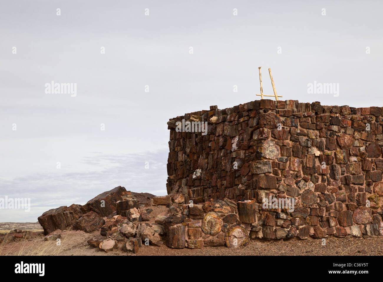 Agate House Pueblo made from Petrified wood, Araucarioxylon arizonicum