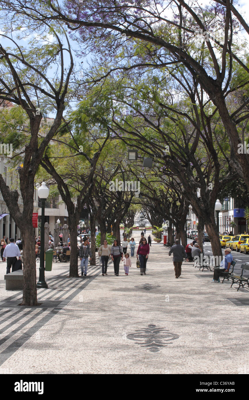 Pedestrian boulevard Avenida Arriaga Funchal Madeira Stock Photo