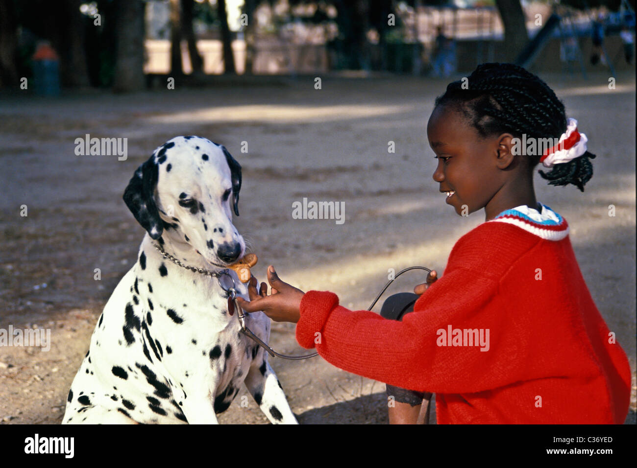 Dog gently carefully takes treat 79 years old ethnic diverse Cute girl