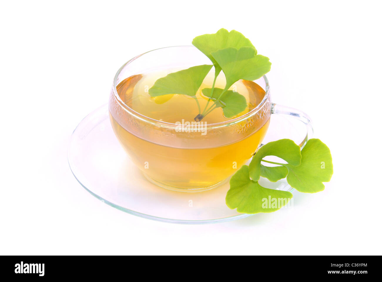 Tee Ginkgo - tea ginkgo 08 Stock Photo