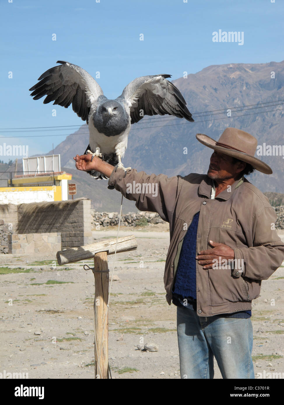 Andean man in Maca with an old black brest eagle Stock Photo