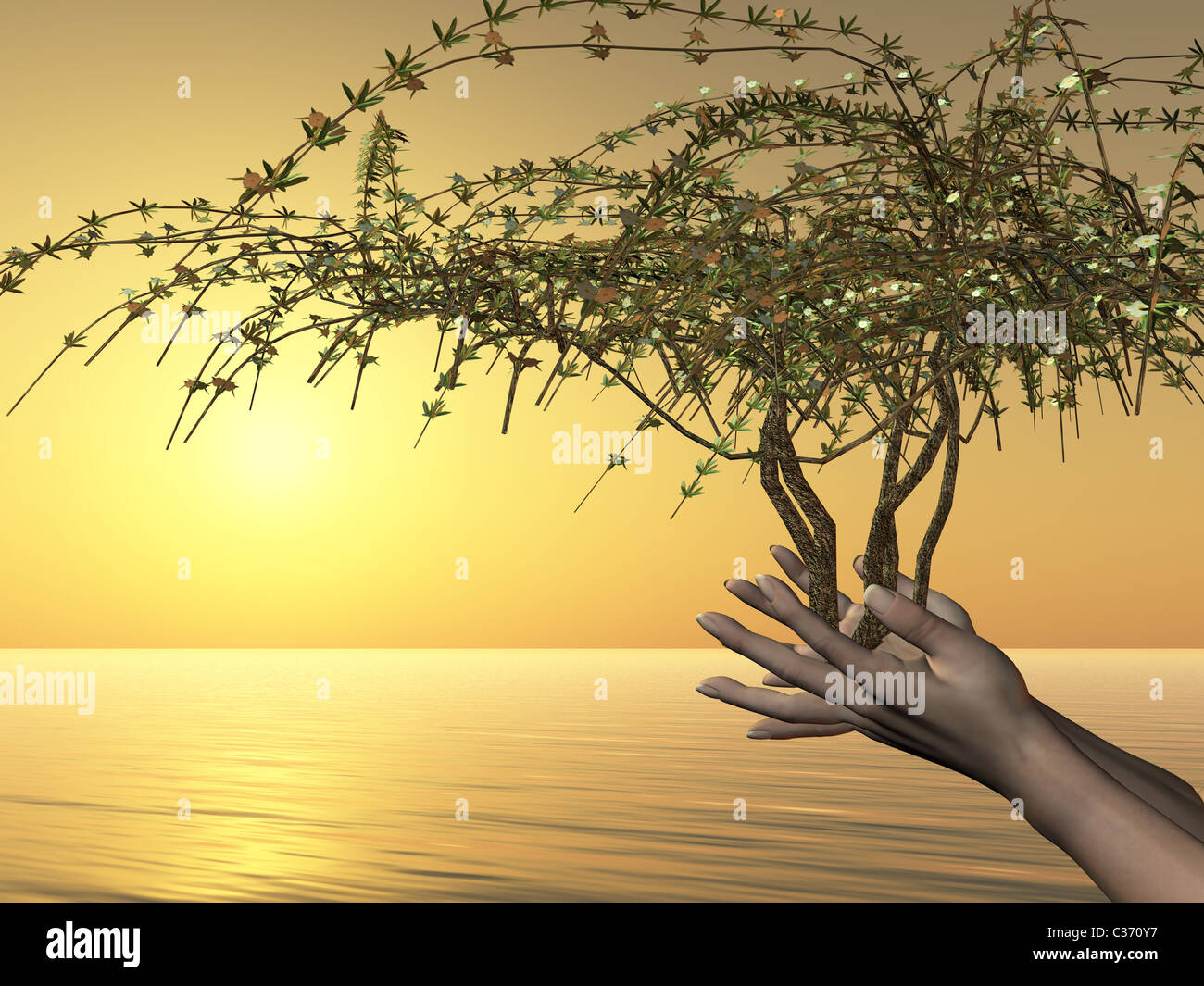 EMBRACE OF LIFE - Human hands hold the gift of life in tree form. Stock Photo