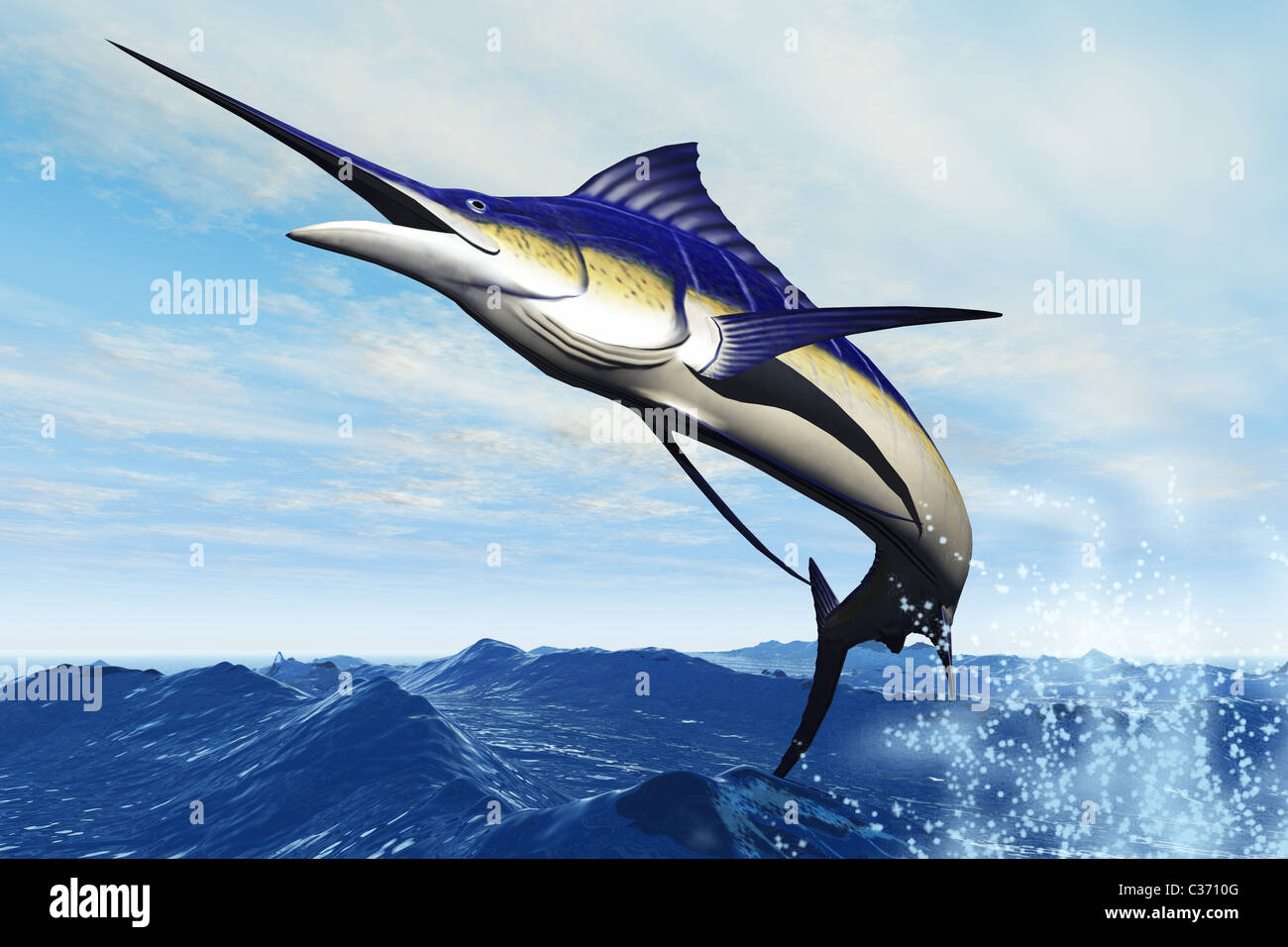 A sleek blue marlin bursts from the ocean surface in a grand leap. Stock Photo