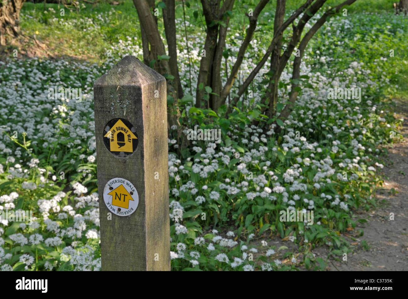 Footpath markers: North Downs Way, Box Hill, Surrey, England Stock Photo