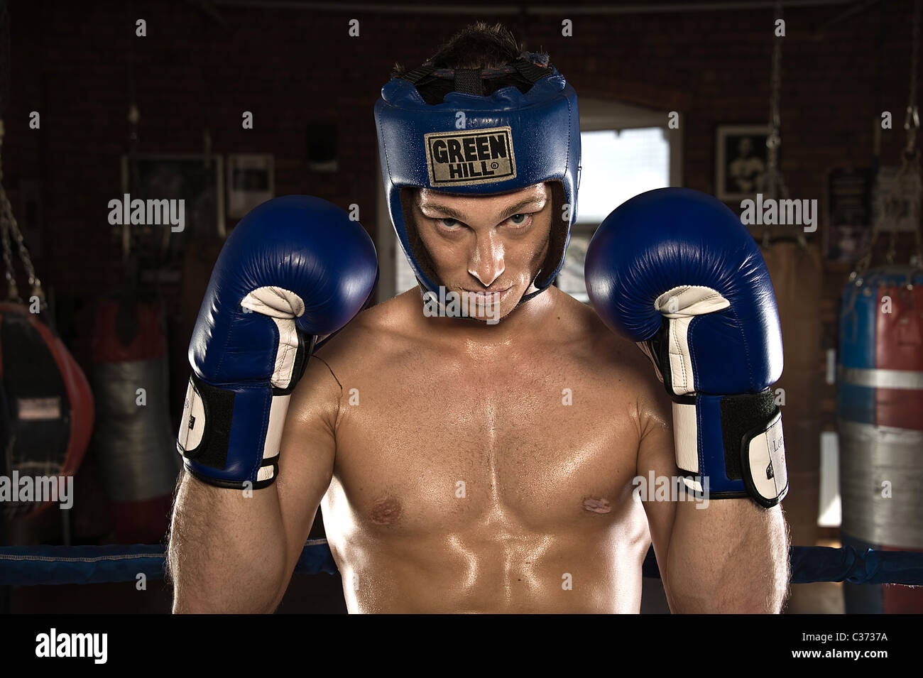 Portrait of male boxer Stock Photo Alamy