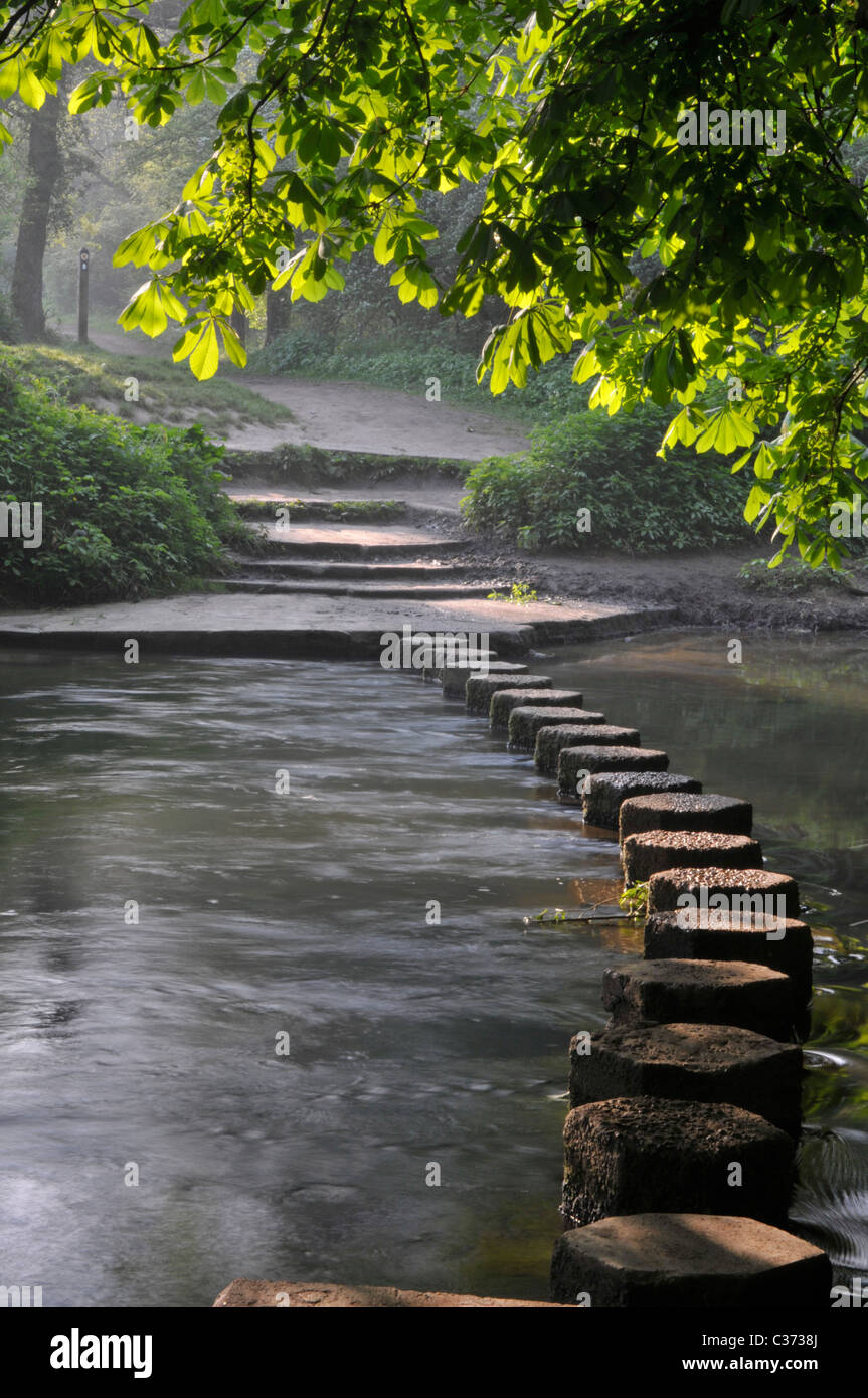 Stepping Stones over River Mole, Box Hill, Dorking, Surrey, England, UK. Stock Photo