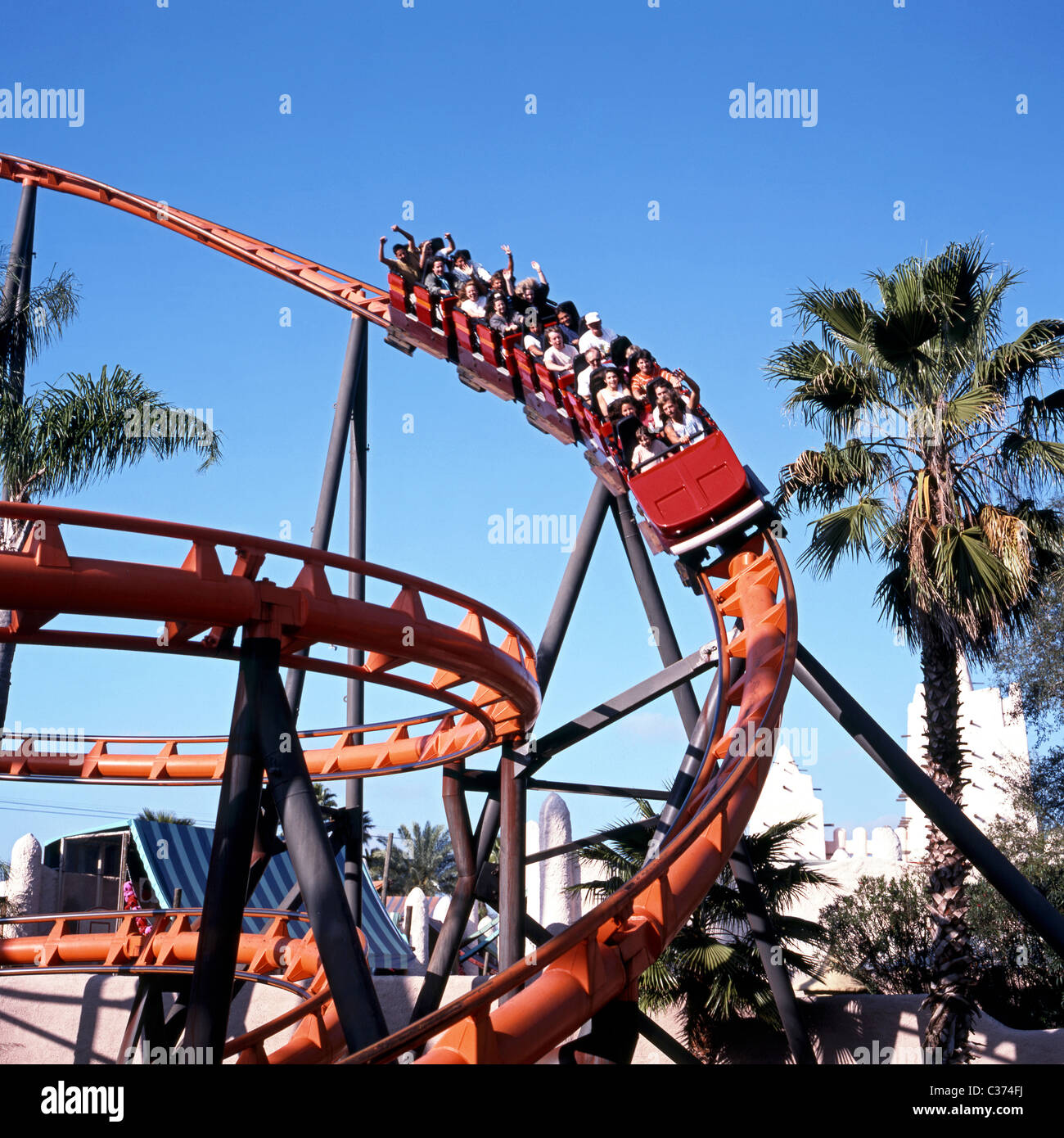 The Scorpion Roller Coaster Ride Busch Gardens Theme Park Tampa