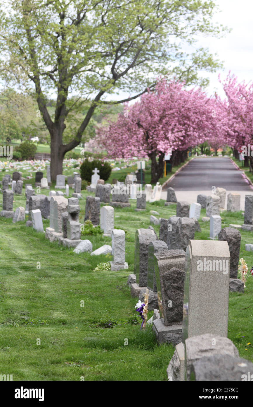 Moravian Cemetery Yard Stock Photo Alamy