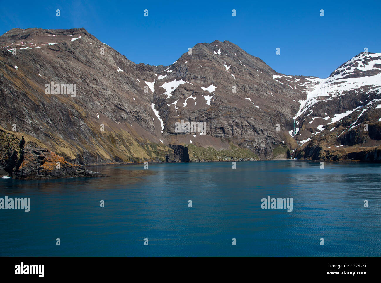 A sunny day in Hercules Bay, South Island Stock Photo Alamy