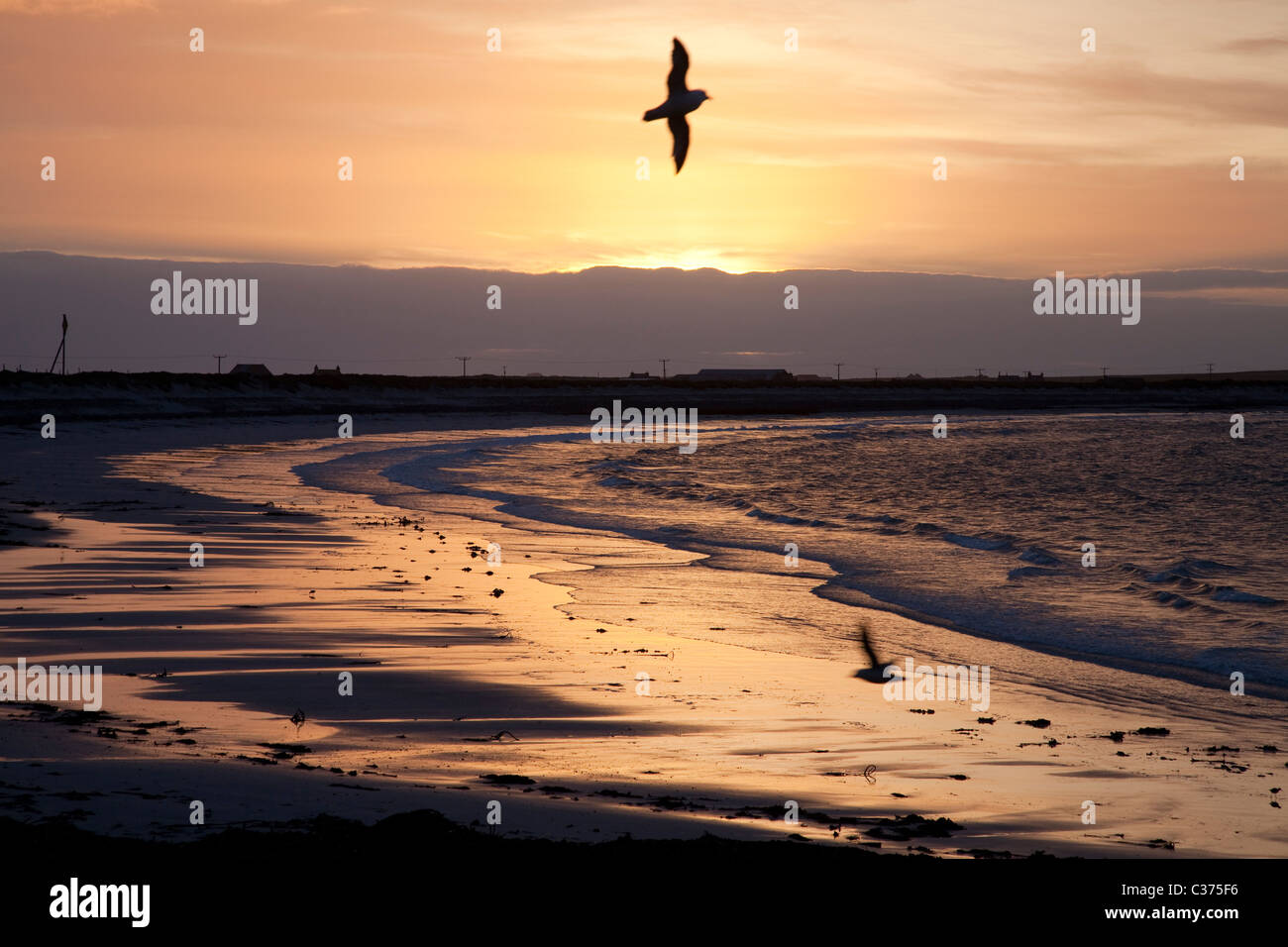 Sunset over the Bay of Sandquoy, Sanday, Orkney Islands Stock Photo