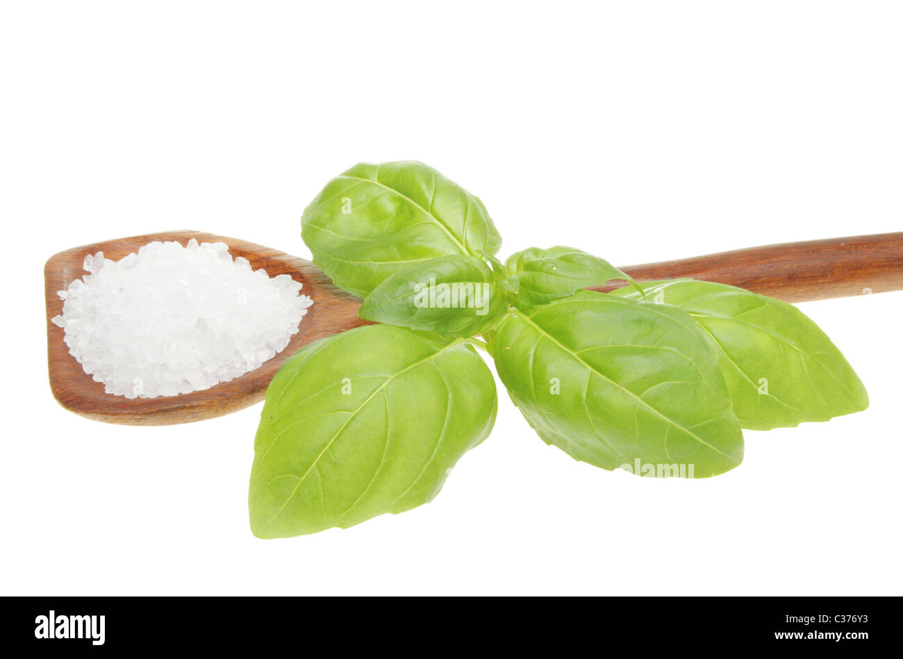 Sprig of fresh basil herb leaves and rock salt in a wooden spoon Stock Photo
