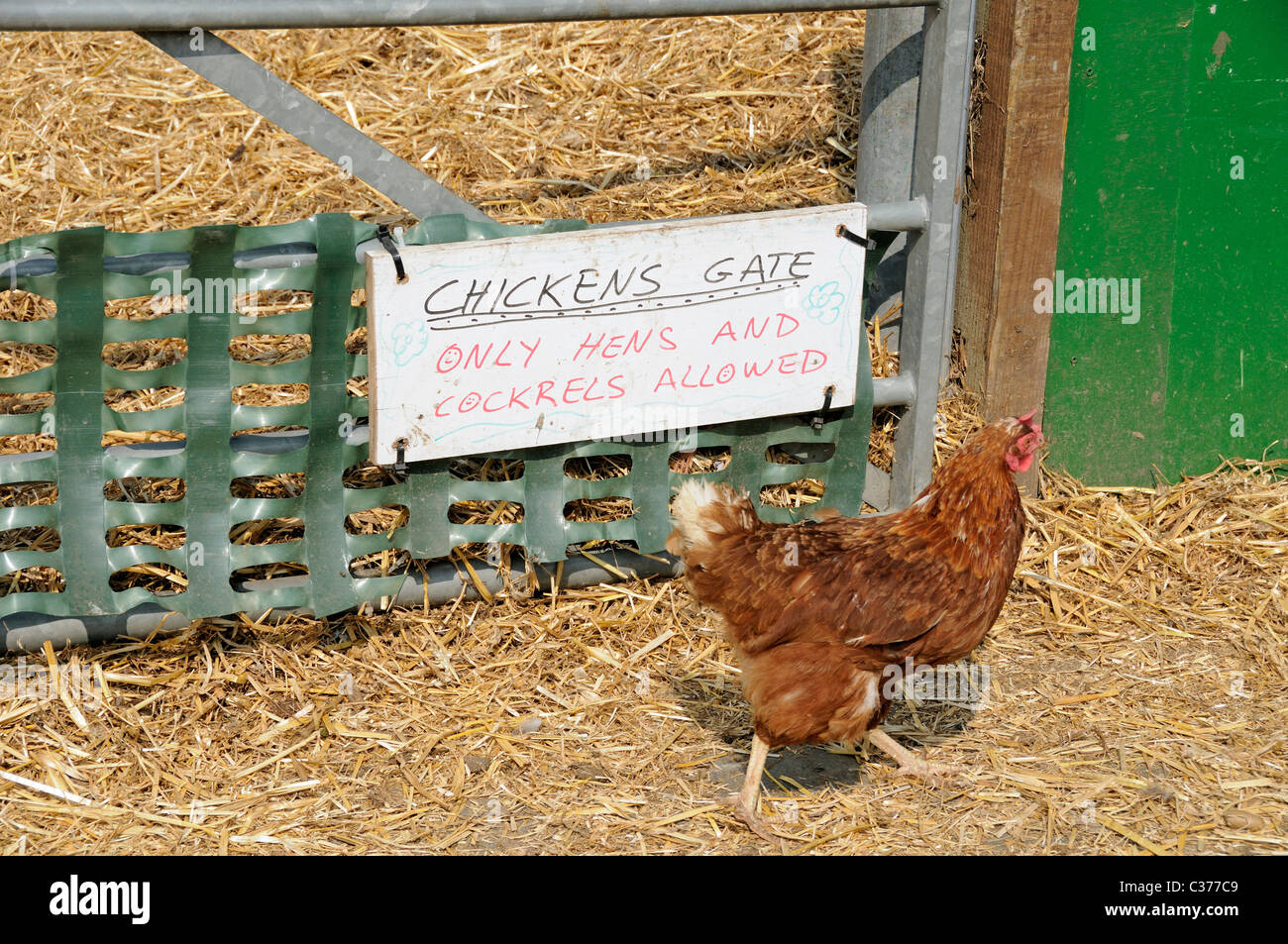 Crockrels hires stock photography and images Alamy