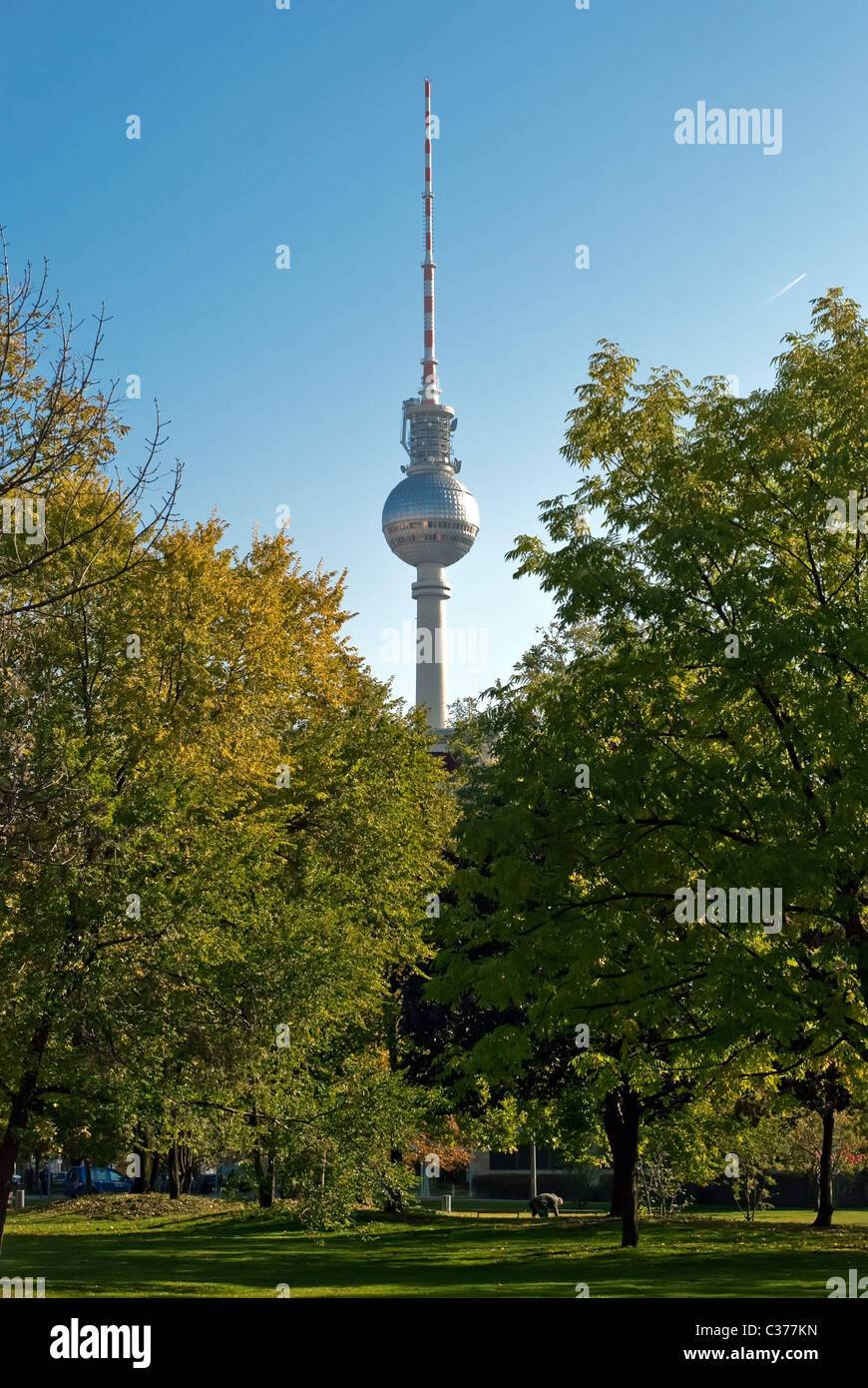 the Berlin television tower stands between green trees Stock Photo