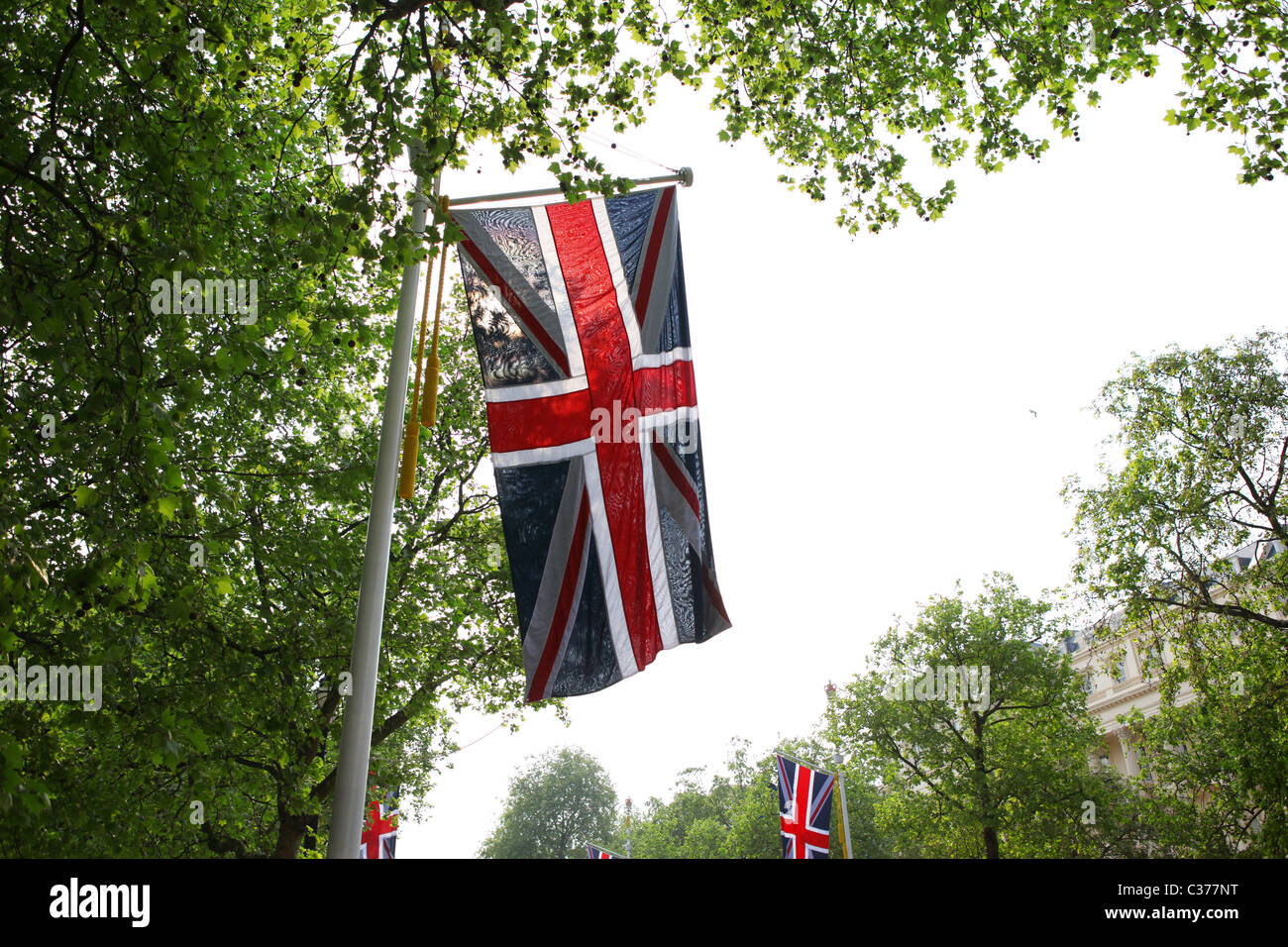 Kate hi-res stock photography and images - Page 5 - Alamy