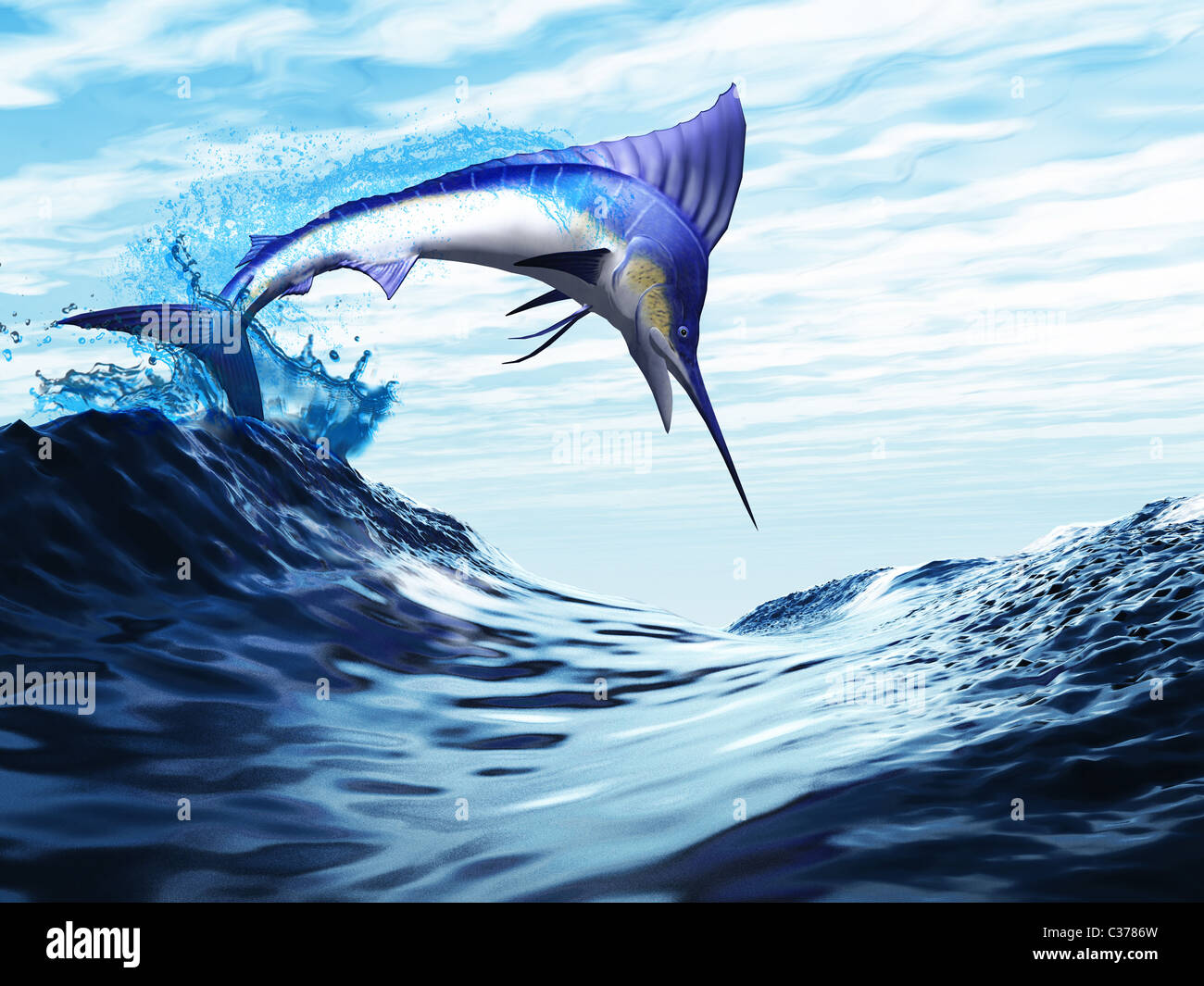 A beautiful blue marlin bursts through a wave in a spectacular jump. Stock Photo
