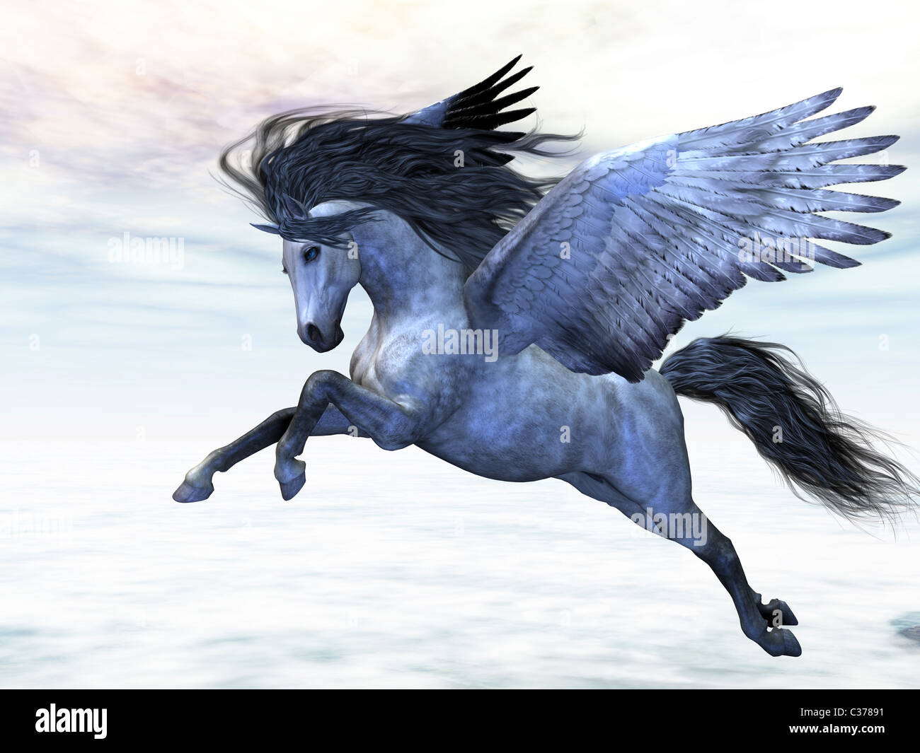 Pegasus flies high in the air over the clouds. Stock Photo