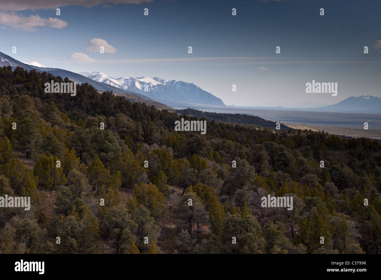 A photograph of a forest, mountain and desert landscape. Created with a graduated neutral density filter. Stock Photo