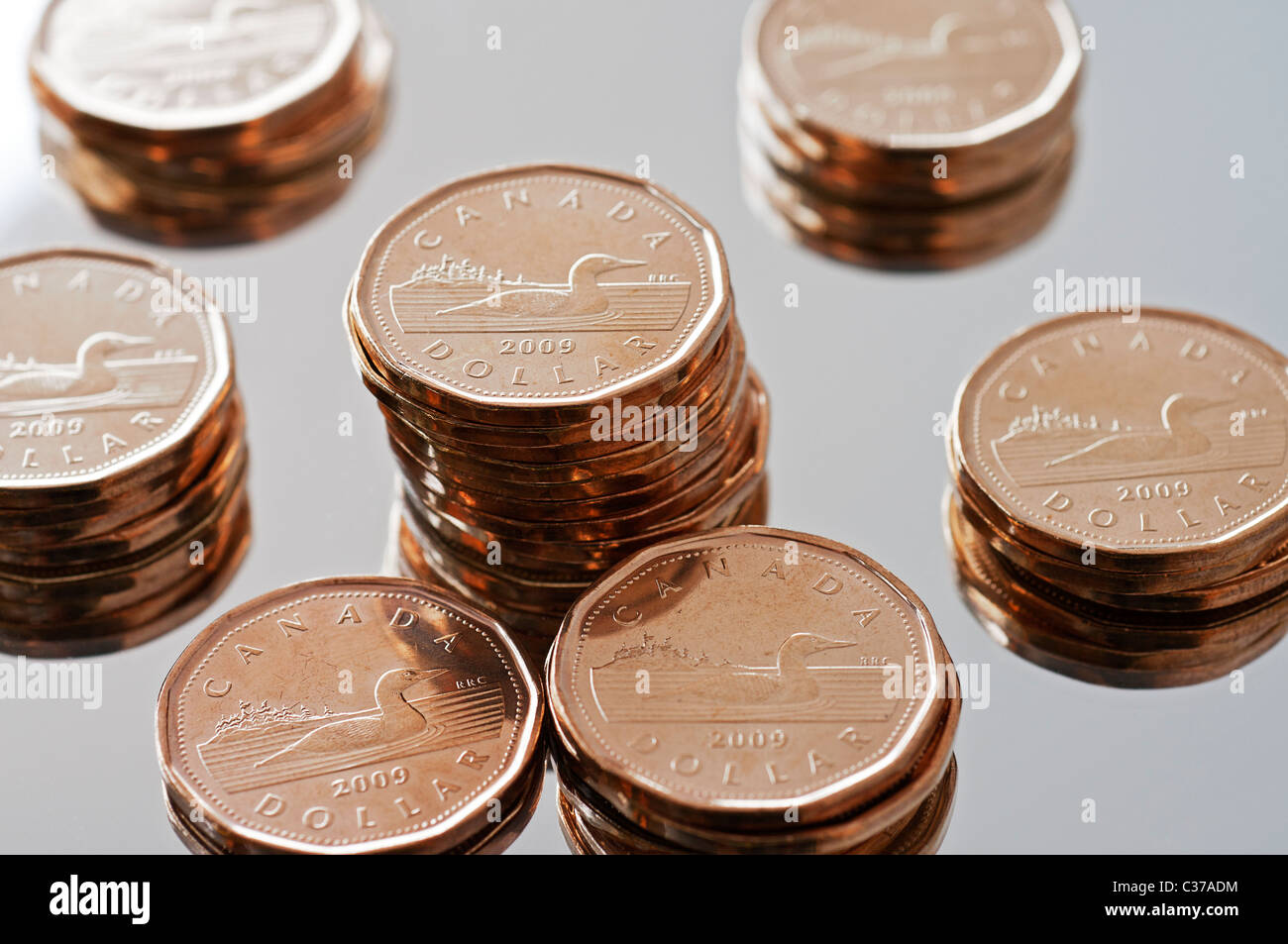 Canadian money; one dollar ($1) coins commonly known as loonies Stock  Photo - Alamy