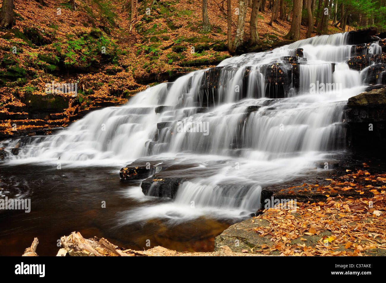Beecher Creek falls, Adirondack park. New York Stock Photo Alamy