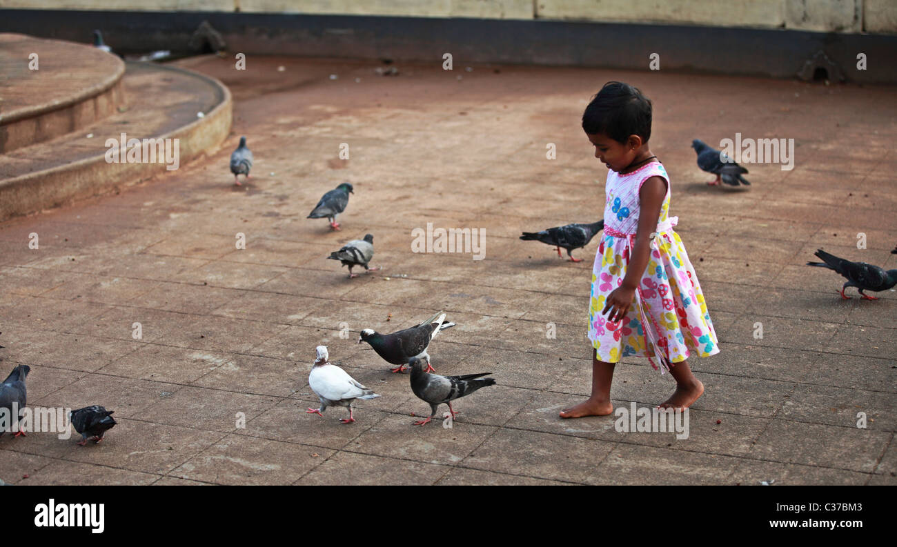 Asian small girl trying to to catch pigeons neck