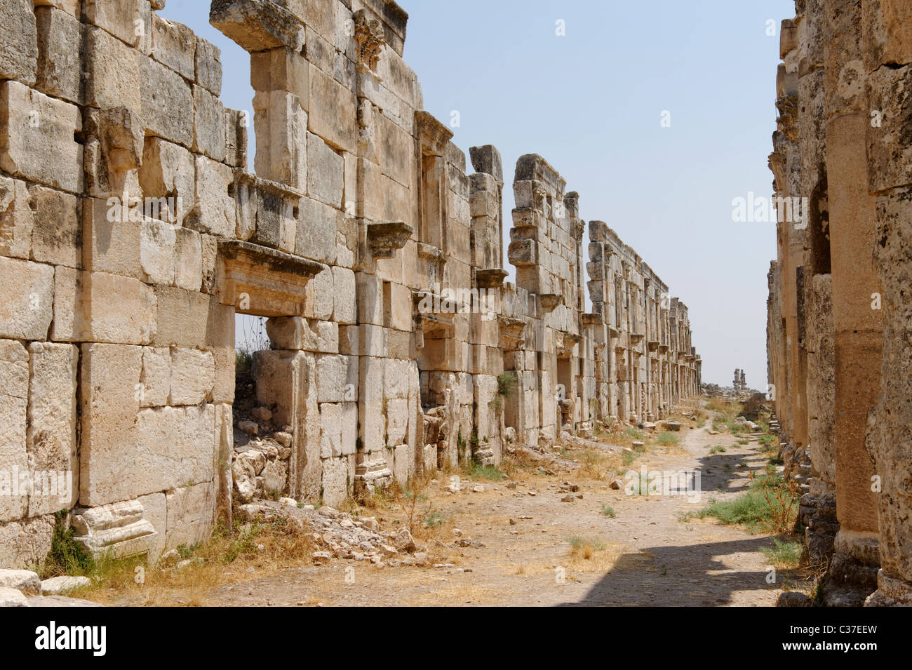 Majestic Colonnaded Street of the ancient city of Apamea with shop facades behind the columns. Stock Photo