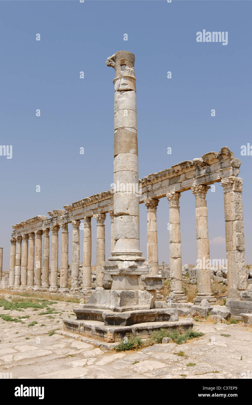 Votive column in the northern section of the majestic Colonnaded Street of the ancient city of Apamea. Stock Photo