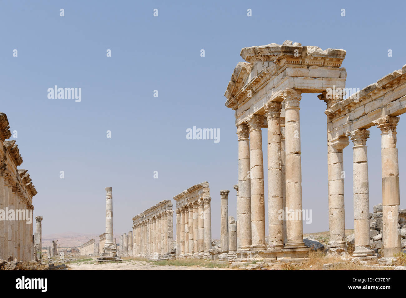 The majestic Colonnaded Street of the ancient city of Apamea Syria Stock Photo
