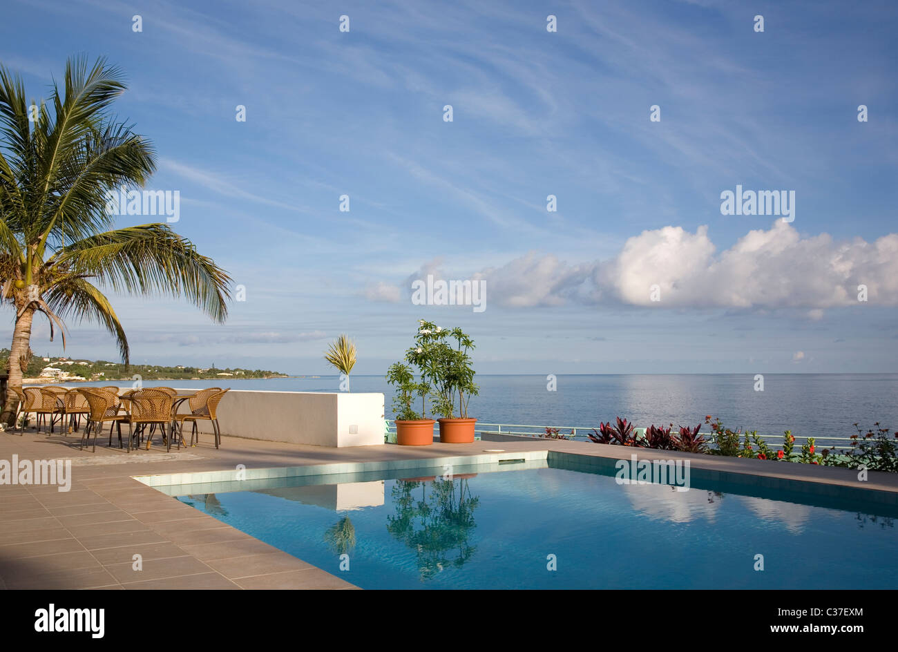 Luxurious plants hi-res stock photography and images - Alamy
