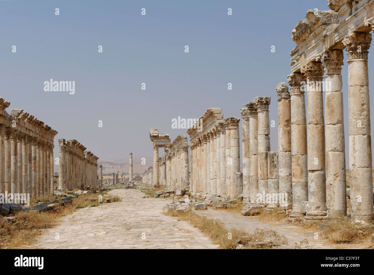 The majestic Colonnaded Street of the ancient city of Apamea Syria Stock Photo