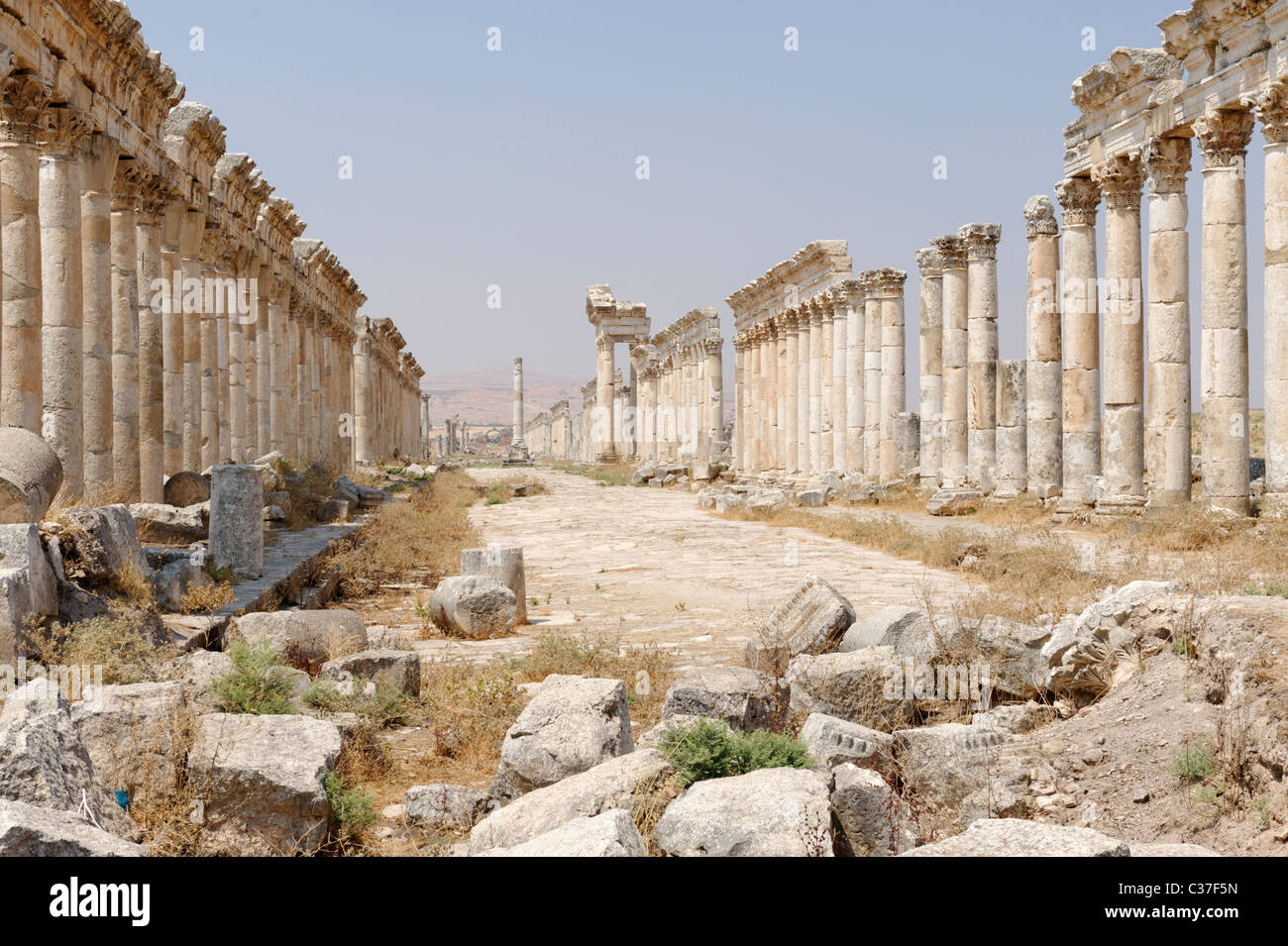 The majestic Colonnaded Street of the ancient Apamea in Syria. Stock Photo
