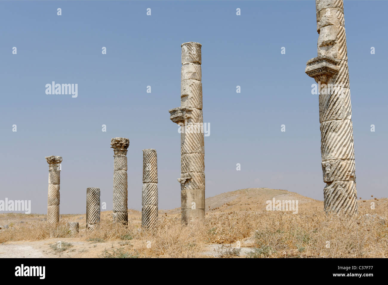 Columns along the Colonnaded Street marked with a deep twisting corkscrew fluting, unique to the ancient city of Apamea. Stock Photo