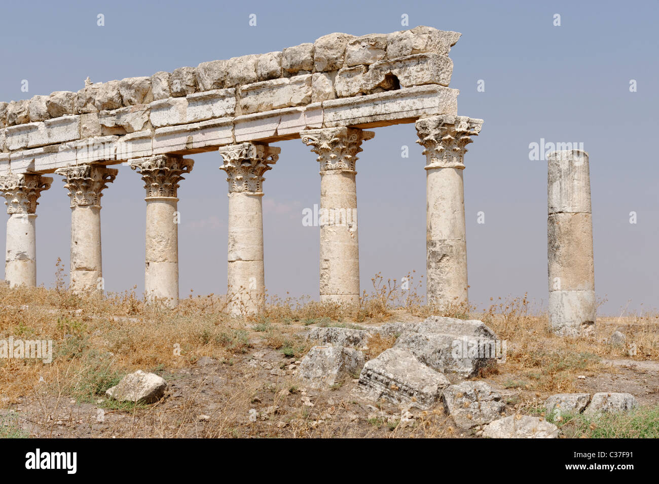 Columns along the Colonnaded Street topped with elaborate entablature with acanthus capitals in the ancient city of Apamea. Stock Photo